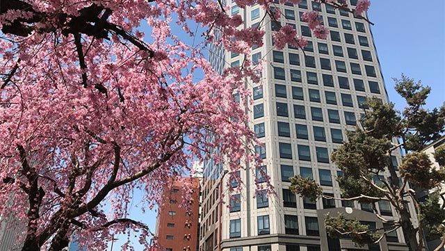Nagoya Office