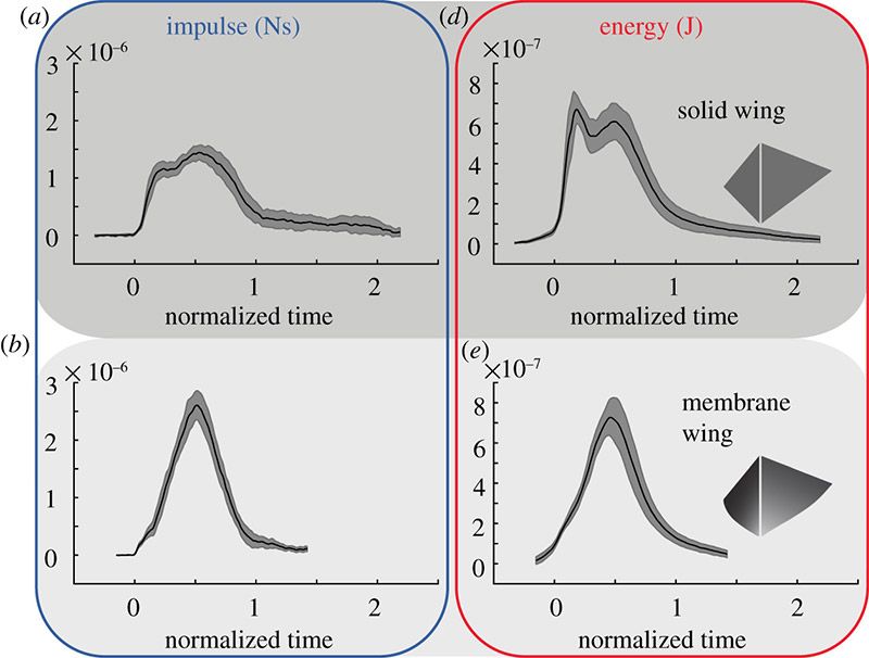 Four charts showing the differences in impulse and energy during flight between solid wings and flexible wings. 