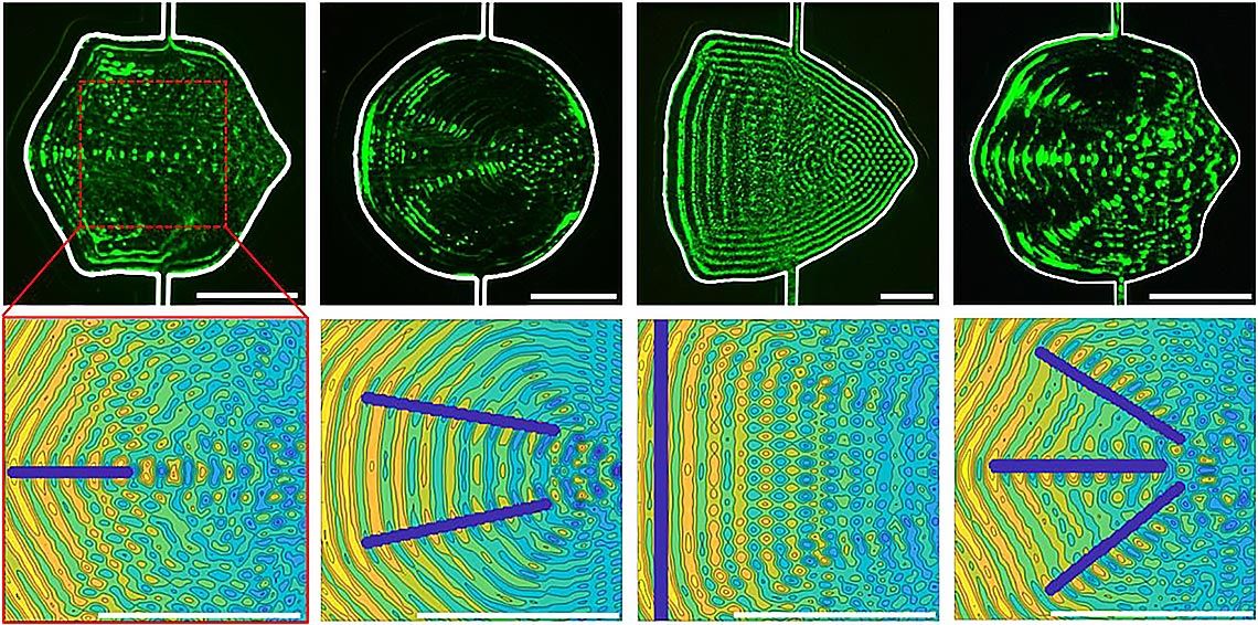 Two rows of four images. Top row shows different channel shapes. Bottom row shows the modeled acoustic field within the design area of each shape.