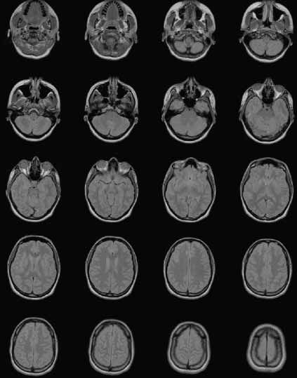 dicom_fig1_w.jpg dicom_fig1_w.jpg