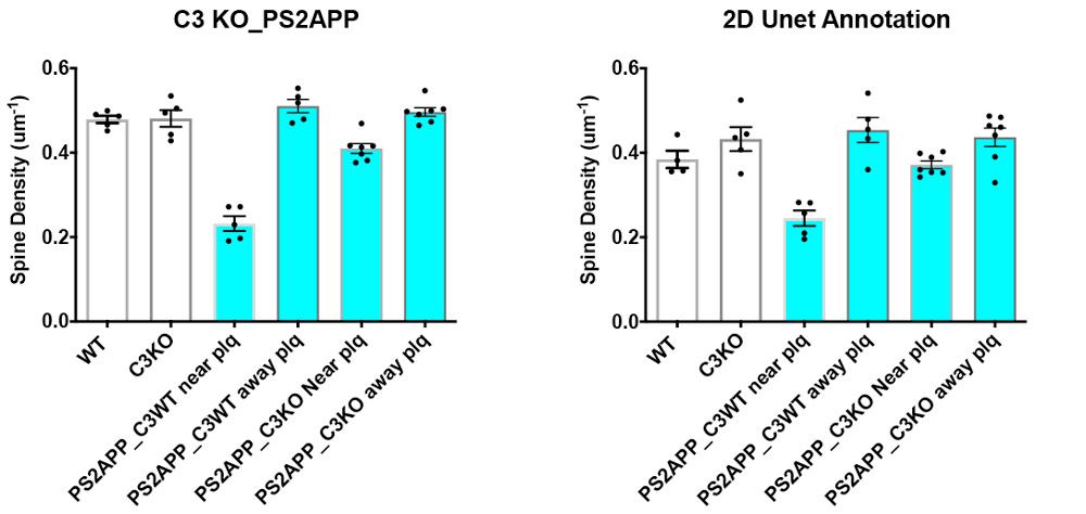 Figure 5. Spine density ratios produced by image processing and deep learning.