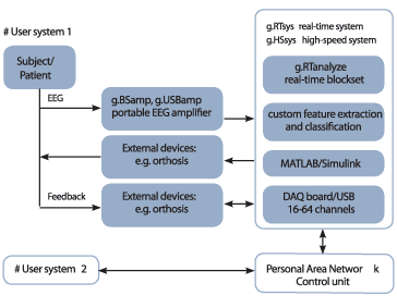 brain_ci_fig2_w.gif brain_ci_fig2_w.gif