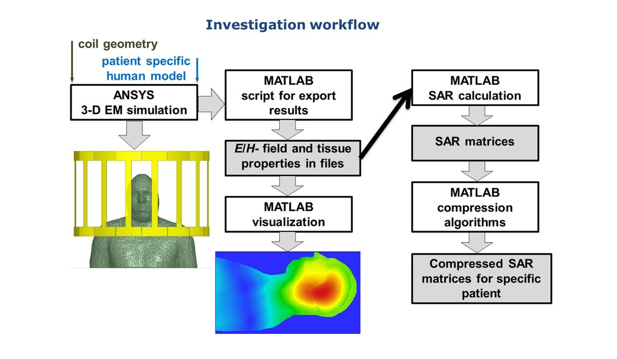 使用 MATLAB 虚拟人体模型计算特定吸收率的工作流程。