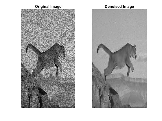 Original (left) and denoised (right) images. The image was denoised while preserving the edges using a wavelet denoising function.
