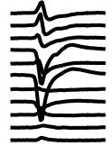 Figure 2. The spike from a single neuron as recorded on 11 different channels.