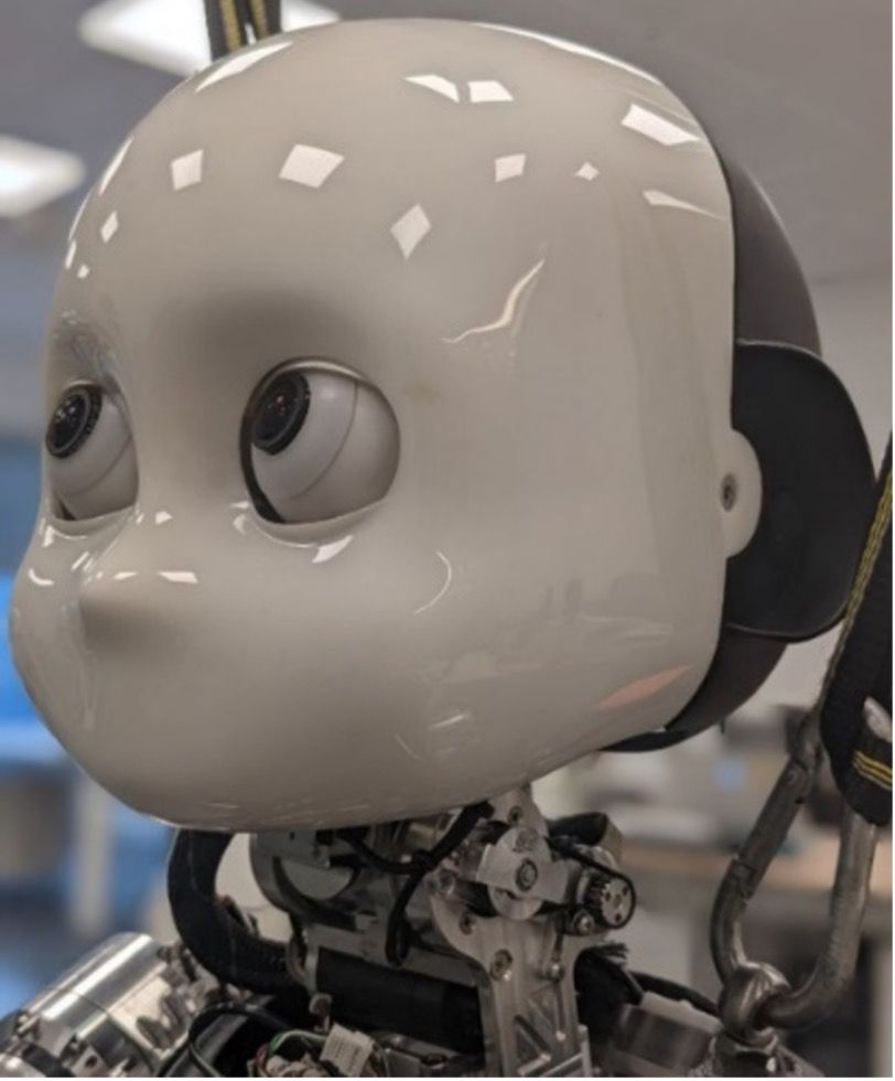 The iCub robot’s head, resembling a masked face with mechanical eyes, a nose, and no mouth.