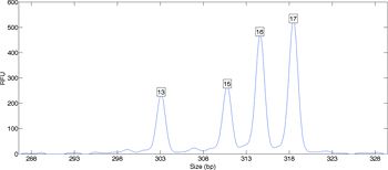 Figure 2. DNA data from a mixed sample, showing multiple peaks.