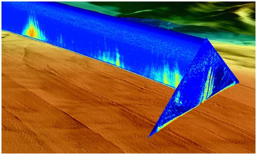 A 3D compilation of bathymetry data processed by SonarScope
