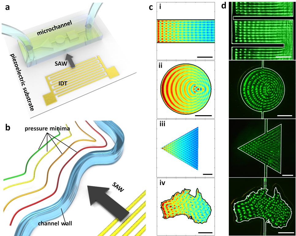 Figure 1. Acoustic patterning in microchannels.