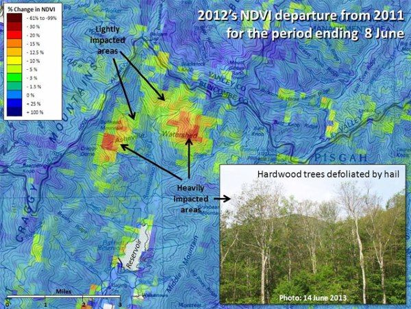 U.S. Forest Change Assessment Viewer map showing damage to the Asheville, North Carolina watershed following a 2012 hail storm.
