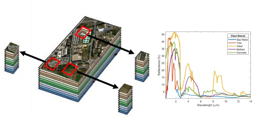 A set of hyperspectral images. Each image was captured at numerous narrow wavelength ranges.