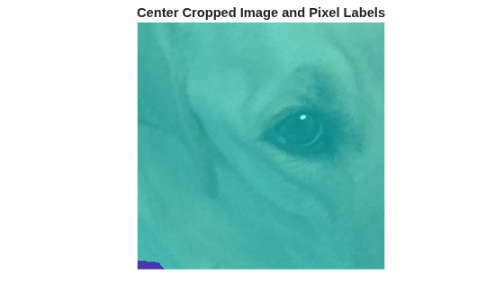 Figure contains an axes object. The hidden axes object with title Center Cropped Image and Pixel Labels contains an object of type image.