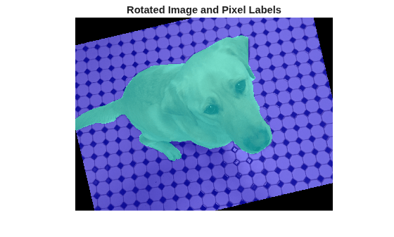 Figure contains an axes object. The hidden axes object with title Rotated Image and Pixel Labels contains an object of type image.