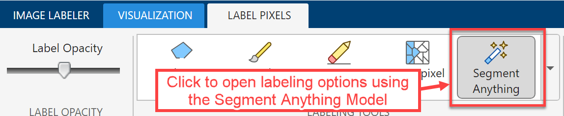 Select the Segment Anything Tool in the Labeling Tools setion of te Label Pixels tab.