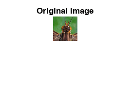 Figure contains an axes object. The axes object with title Original Image contains an object of type image.