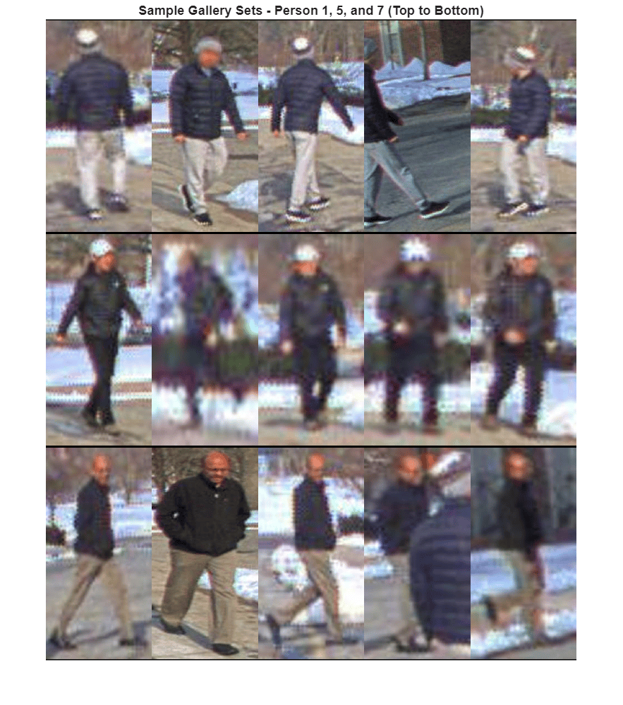 Reidentify People Throughout a Video Sequence Using ReID Network
