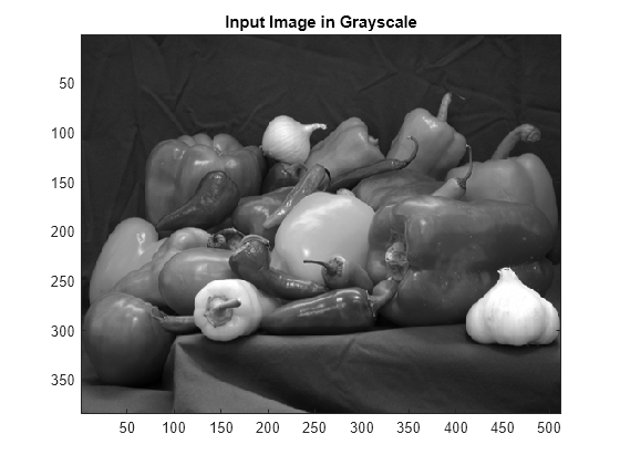 Figure contains an axes object. The axes object with title Input Image in Grayscale contains an object of type image.