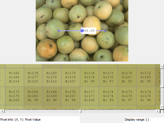 Build App to Display Pixel Information
