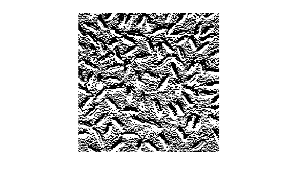 Figure contains an axes object. The hidden axes object contains an object of type image.