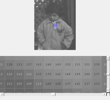 Create Pixel Region Tool