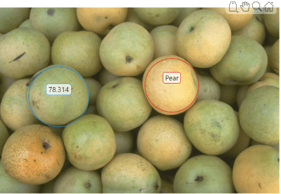 Pears image with a blue circle ROI with a numeric label around one pear, and a red circle ROI with the label Pear around another pear