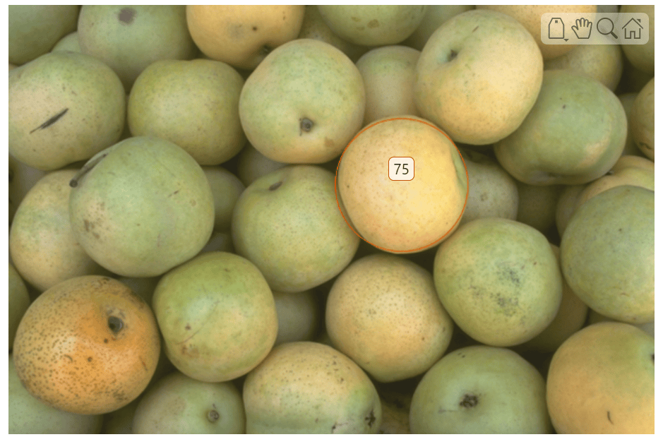 Pears image with an orange circle ROI with a numeric label around a pear