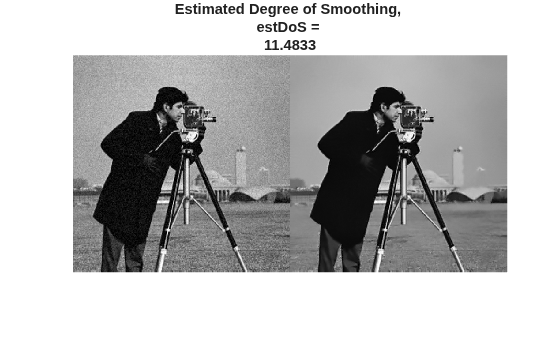 Figure contains an axes object. The hidden axes object with title Estimated Degree of Smoothing, estDoS = 11.4833 contains an object of type image.