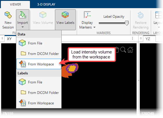 Import menu in the Viewer tab of the app toolstrip