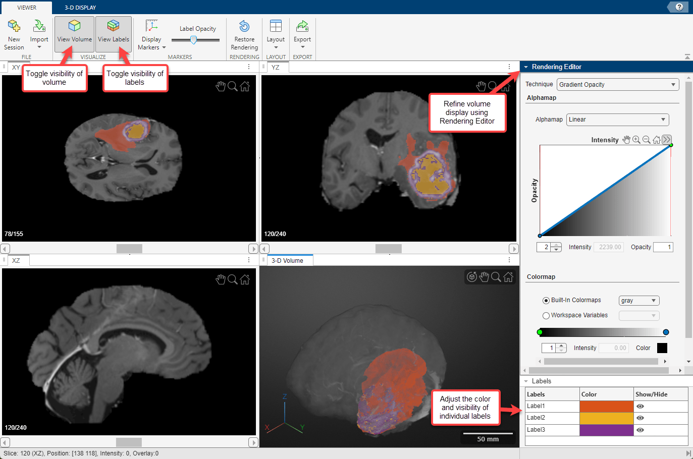 App window, with callouts labeling options for the volume and label overlay display