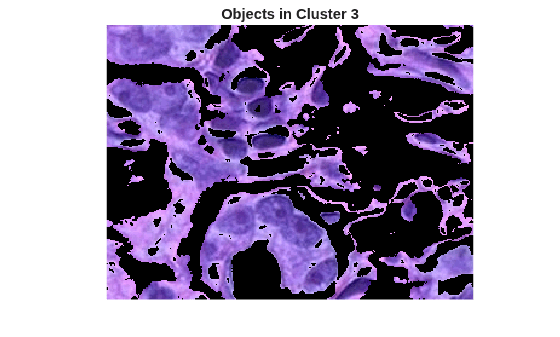 Figure contains an axes object. The hidden axes object with title Objects in Cluster 3 contains an object of type image.