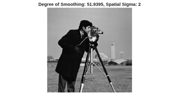 Figure contains an axes object. The hidden axes object with title Degree of Smoothing: 51.9395, Spatial Sigma: 2 contains an object of type image.