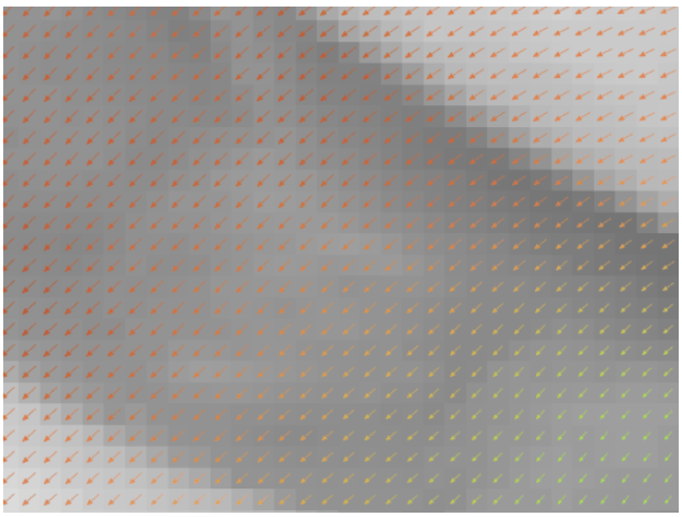 Zoomed in view of one finger, showing the color-coded displacement field arrows