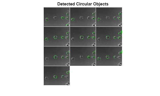 Figure contains an axes object. The hidden axes object with title Detected Circular Objects contains an object of type image.