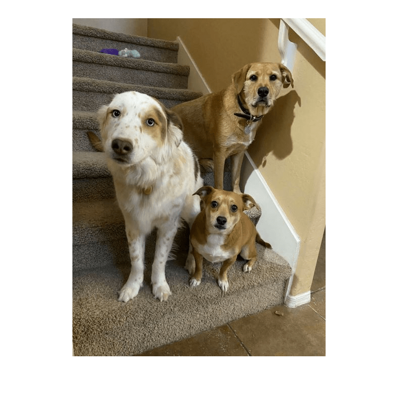 Figure contains an axes object. The hidden axes object contains an object of type image.