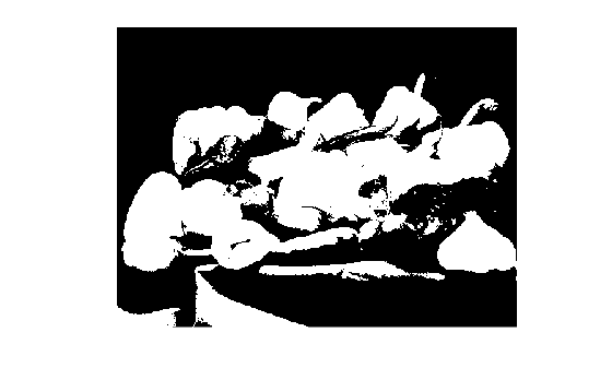 Figure contains an axes object. The hidden axes object contains an object of type image.