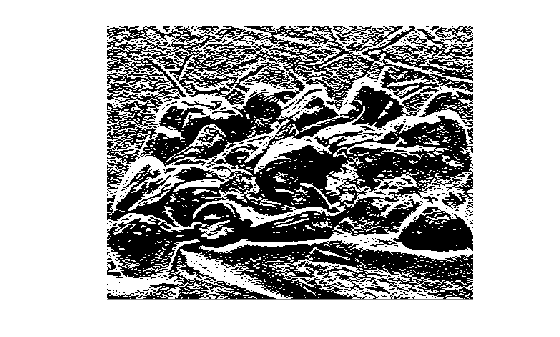 Figure contains an axes object. The hidden axes object contains an object of type image.