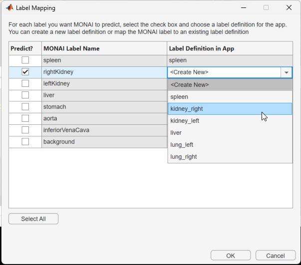 Label Mapping dialog box, showing mapping from the rightKidney MONAI Label to the existing kidney_right label definition.