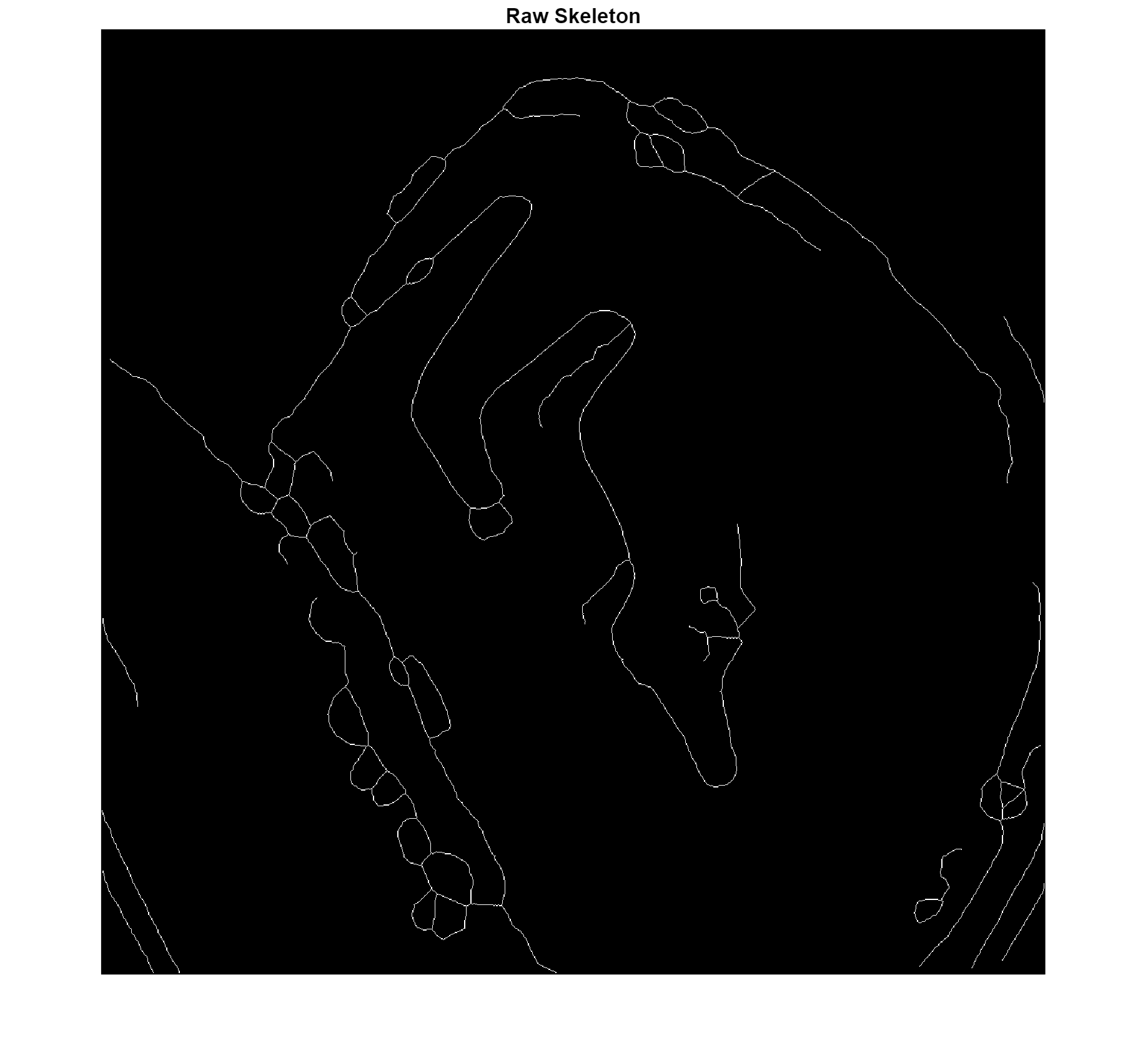 Figure contains an axes object. The hidden axes object with title Raw Skeleton contains an object of type image.