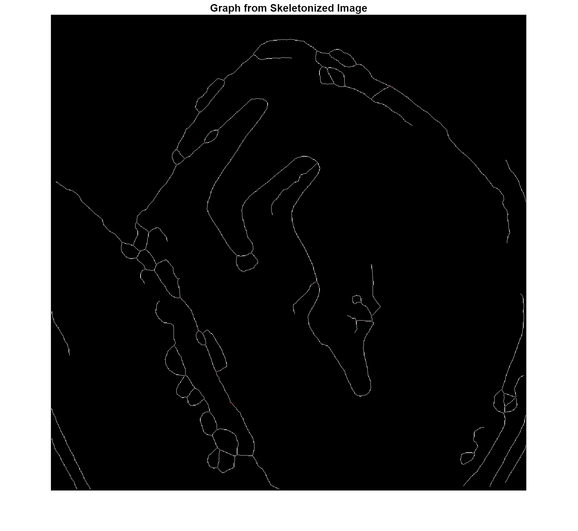 Figure contains an axes object. The hidden axes object with title Graph from Skeletonized Image contains 2 objects of type image.