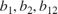 $b_1,b_2,b_{12}$