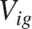 $V_{ig} $