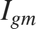 $I_{gm} $