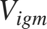 $V_{igm} $