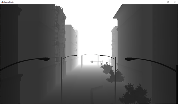 Depth Display output showing a grayscale depth map of the urban street scene with closer objects appearing darker