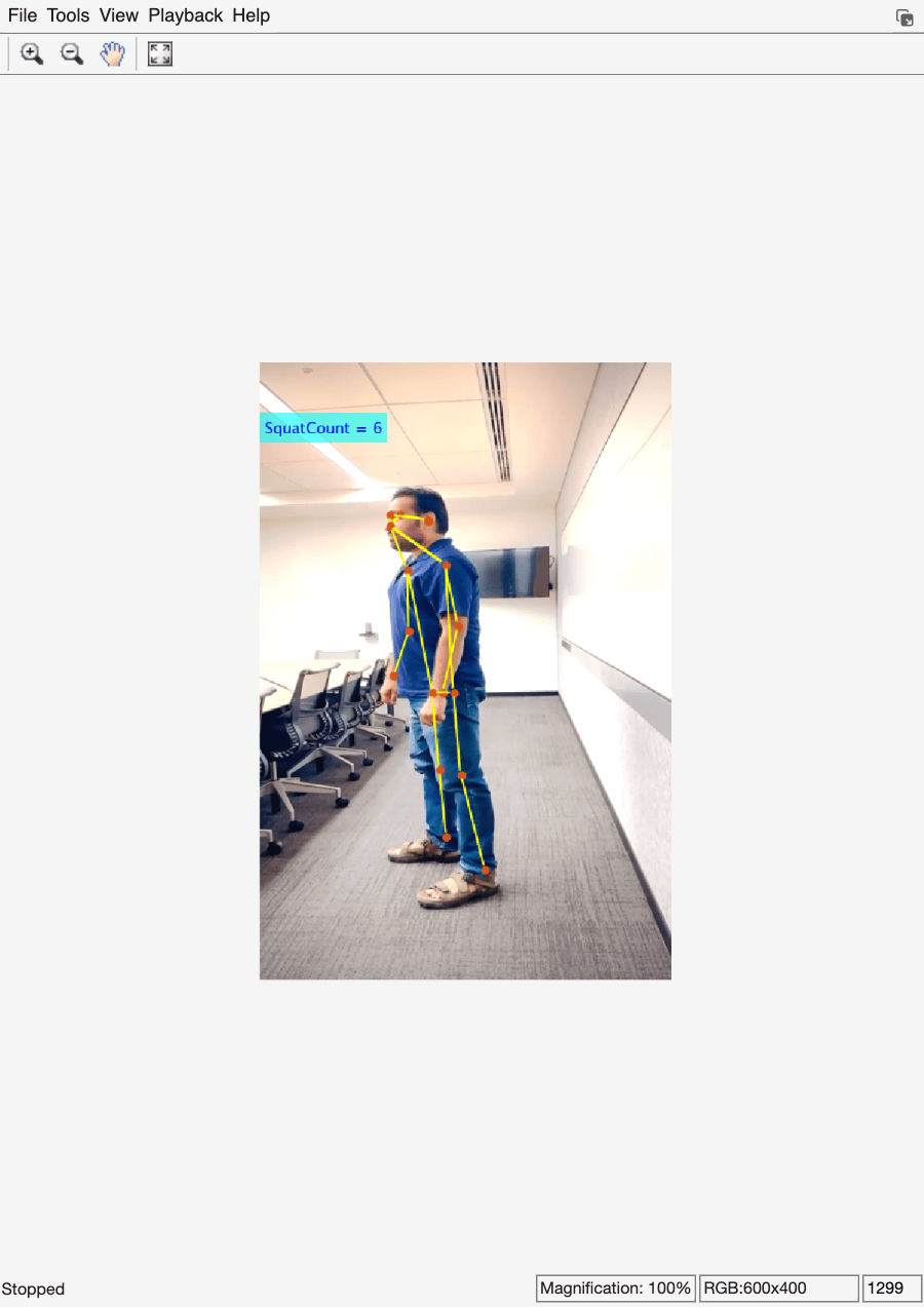 Deep Learning-based Human Pose Estimation for Squat Analysis