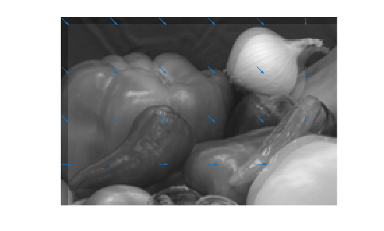 Figure contains an axes object. The hidden axes object contains 2 objects of type image, quiver.