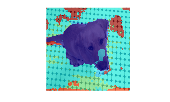 Figure contains an axes object. The hidden axes object contains an object of type image.
