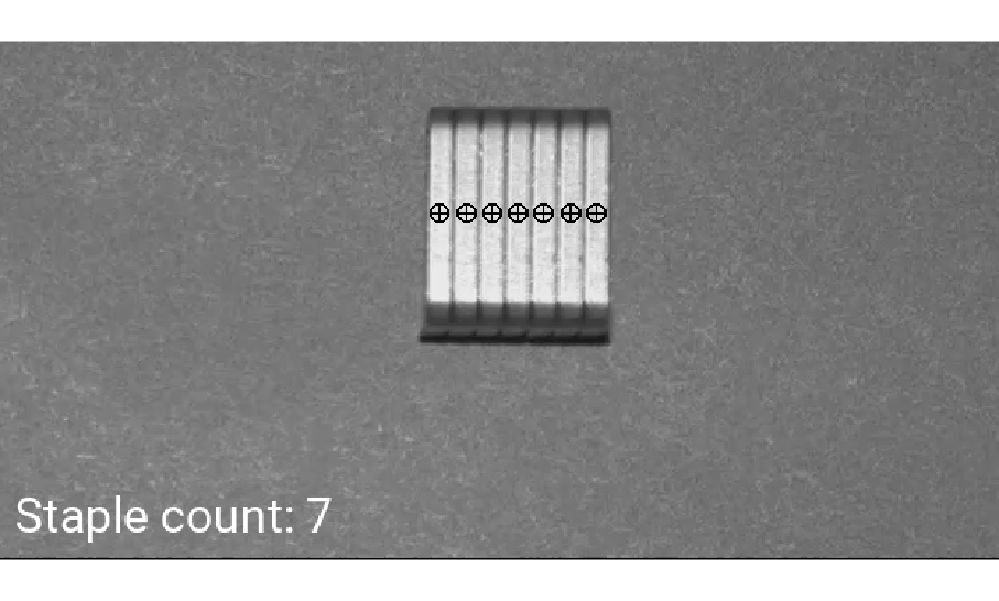 Object Counting