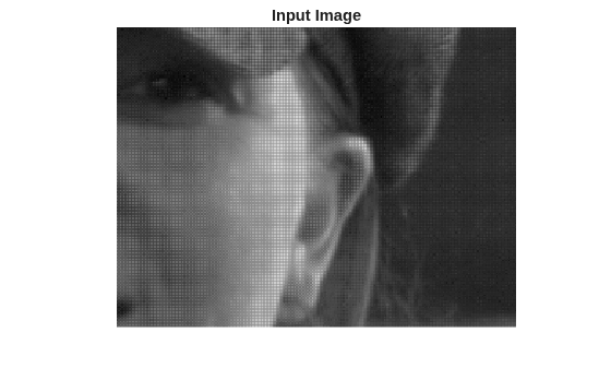 Figure contains an axes object. The hidden axes object with title Input Image contains an object of type image.