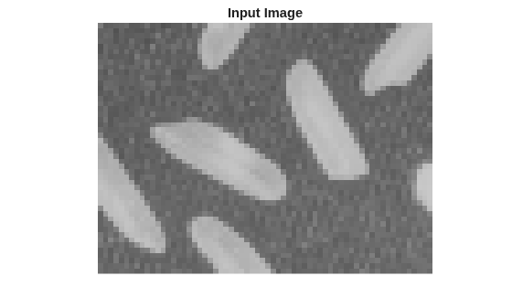 Figure contains an axes object. The hidden axes object with title Input Image contains an object of type image.